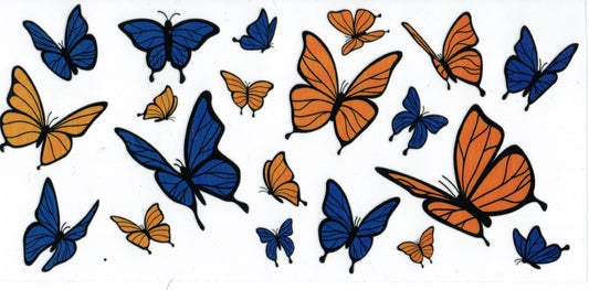 Blue/Yellow Butterfly